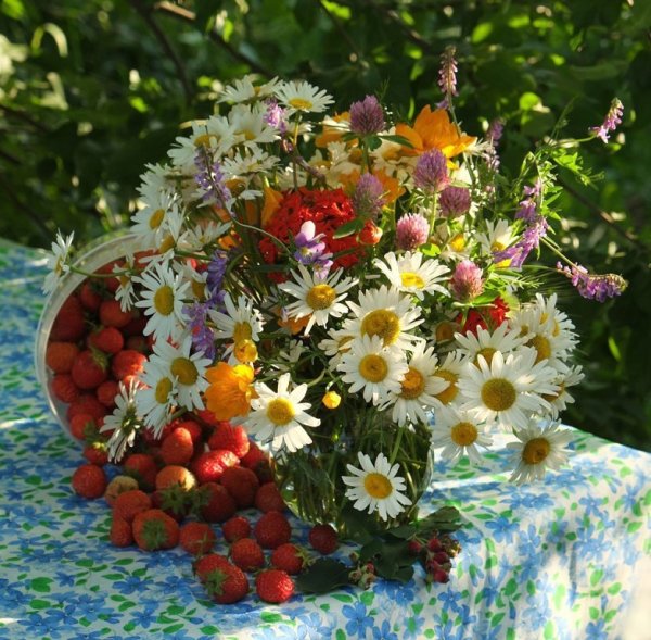 Настроение лето