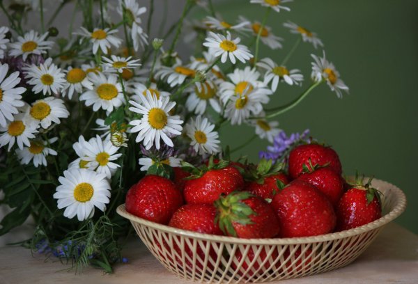 Солнечный цветок