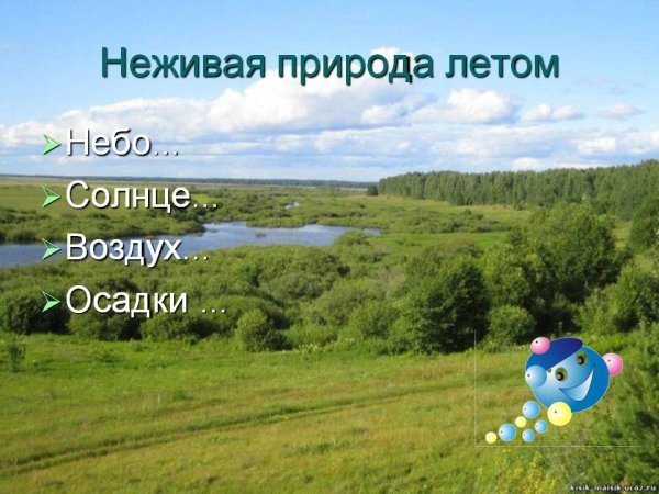 Неживая природа летом