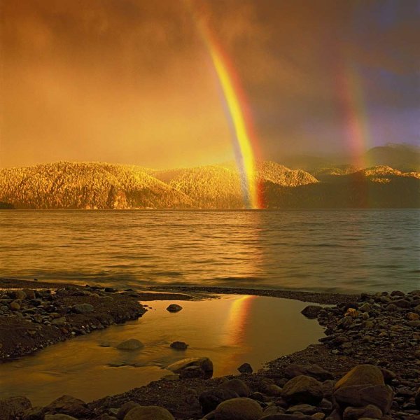 Неживая природа