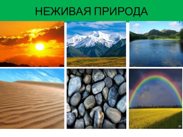 Неживая природа