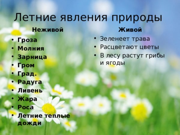 Летние явления в неживой природе