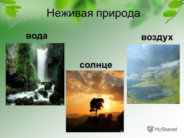 Воздух и вода неживая природа