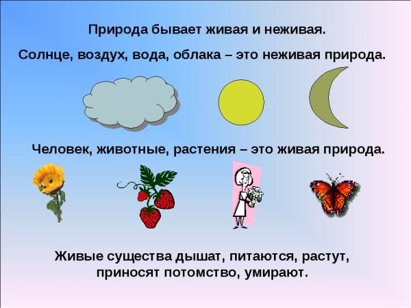 Живая и не эивая природа