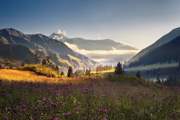 Тропинка в гору к солнцу