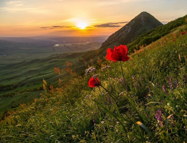 Природа солнце