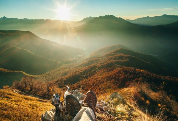 Разнотравье Алтайского края