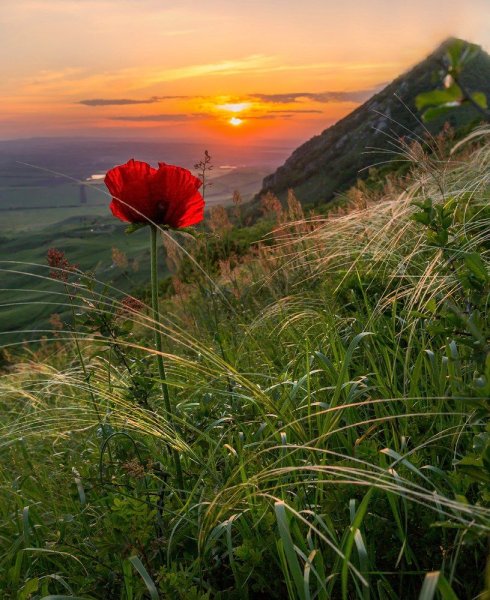 Красивый пейзаж