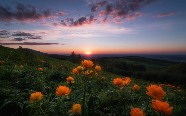 Солнце рассвет