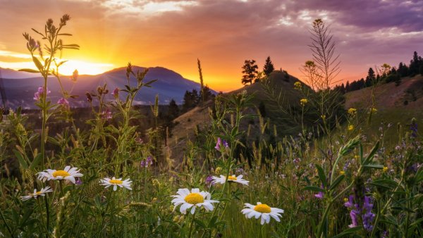 Пейзаж рассвет