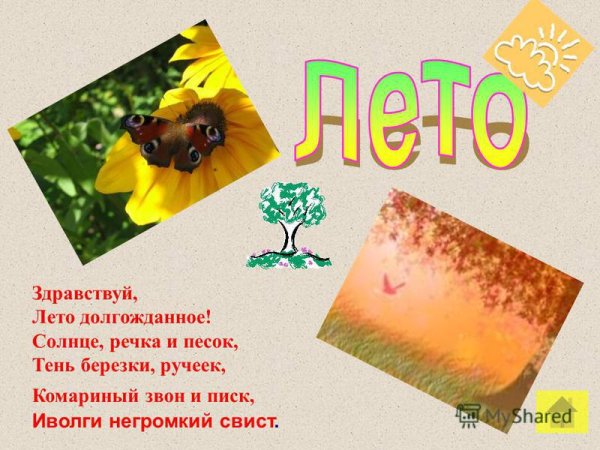 Стих Здравствуй лето