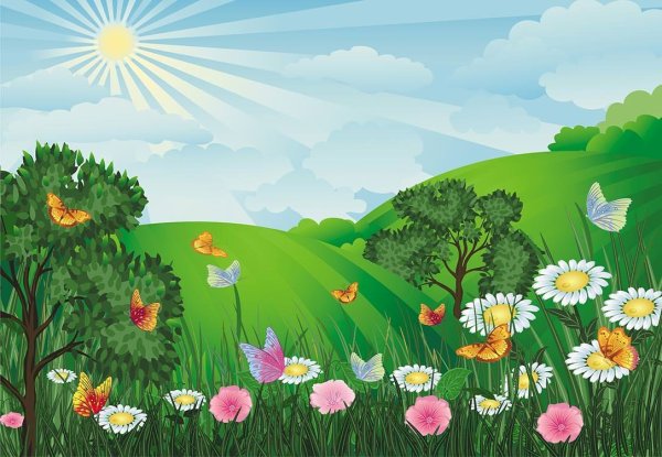 Лесная Поляна летом