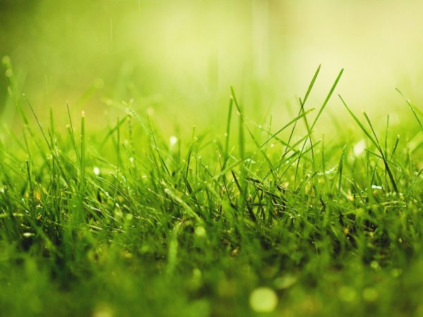 Красивые цитаты про лето