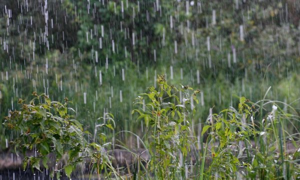 Июльский ливень