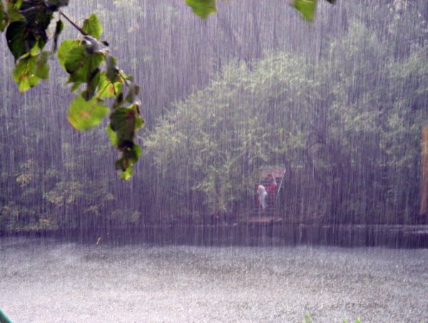 Летний ливень