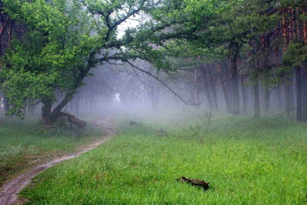 После дождя