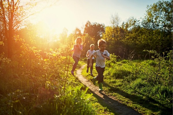 Счастливая семья в лесу