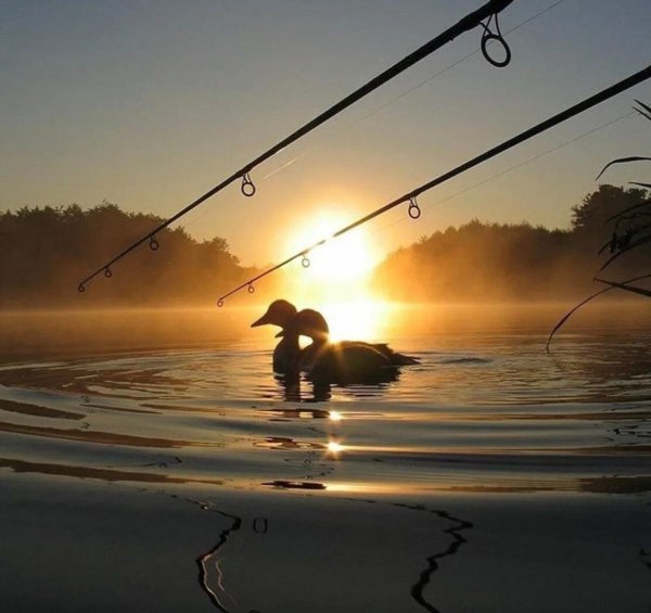 Рыболовные снасти