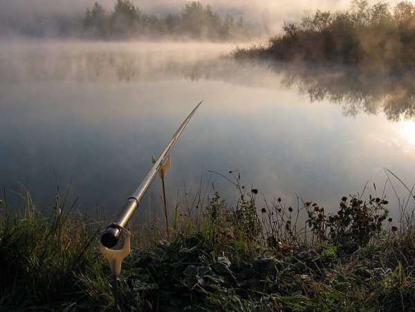 Красивая природа рыбалка