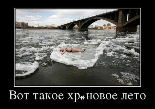 Холодное лето юмор