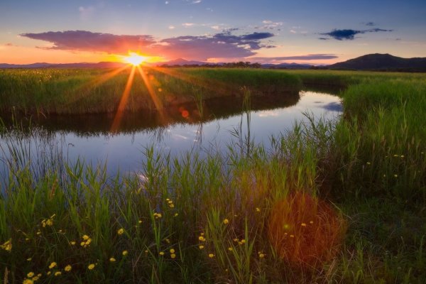 Август природа