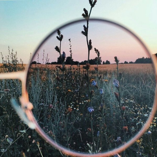 Настоящая Эстетика