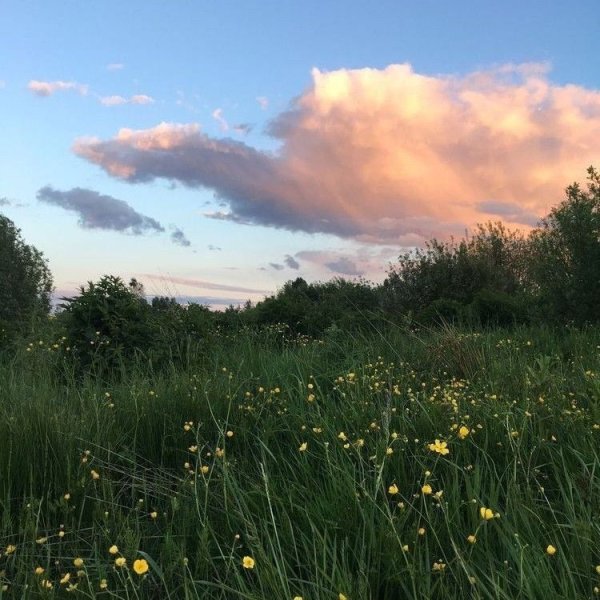 Летняя Эстетика