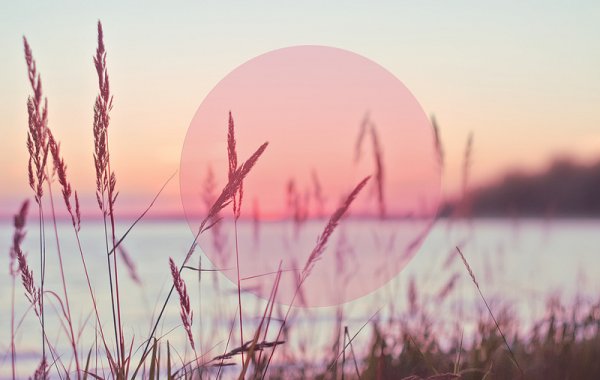 Летняя Эстетика