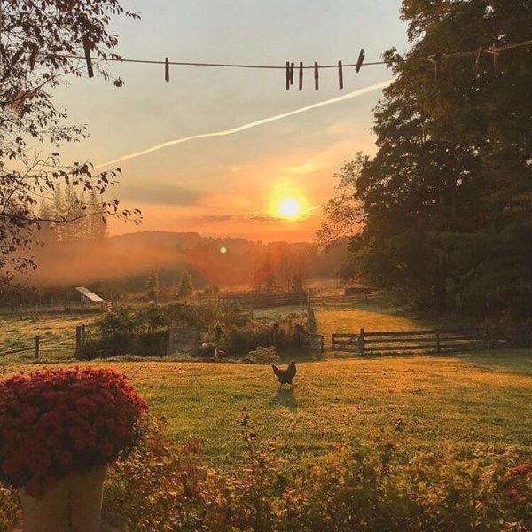 Эстетика природы лето