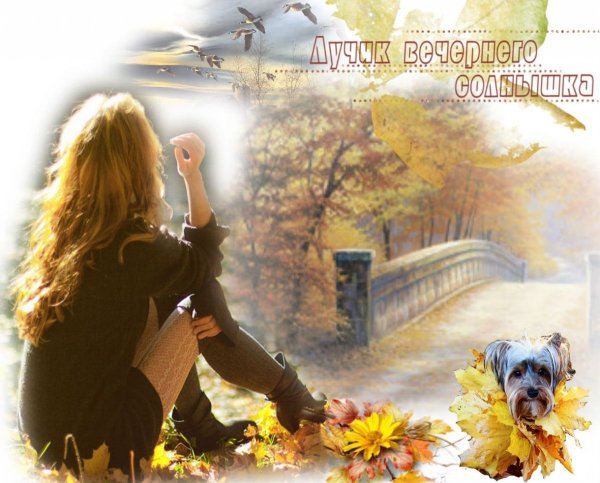 Осень прощается с нами