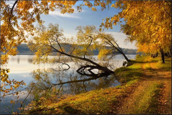 Золотая осень пейзаж