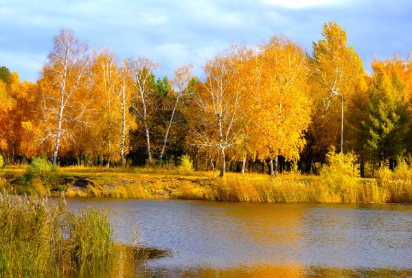 Золотая осень природа
