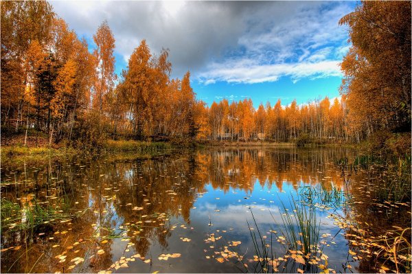 Озеро осенью