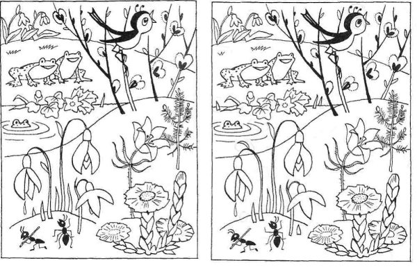 Времена года задания для дошкольников