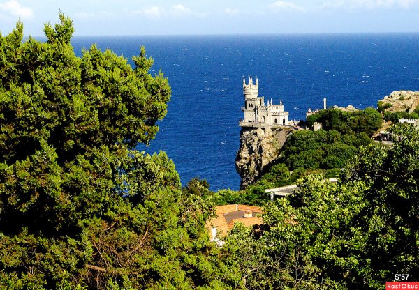 Ласточкины гнезда в природе