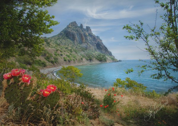 Крым Кара-Даг Весна