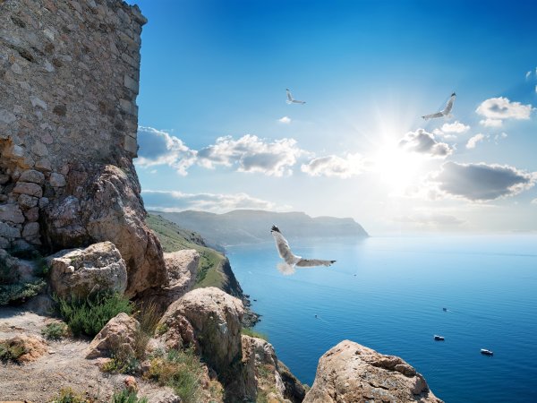 Скала Чайка Алупка