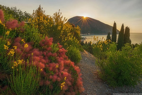 Гурзуф Крым природа