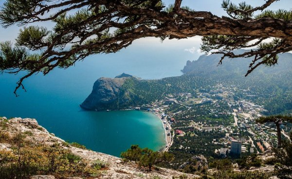 Новый свет Крым