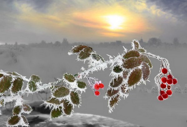 Зимнее утро