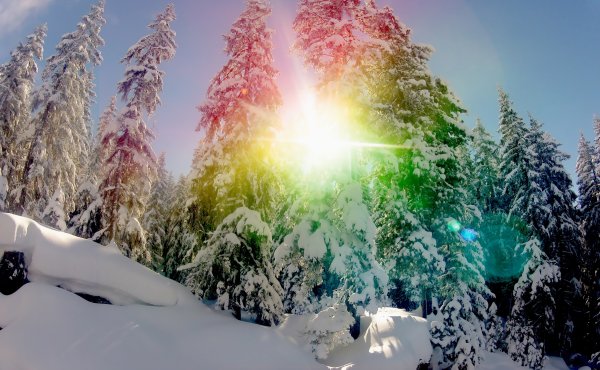 Воркута снег летом