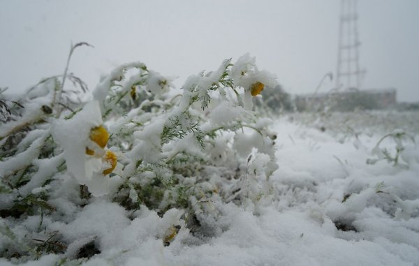 Счастье зима