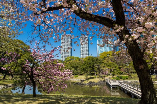 Япония лето город