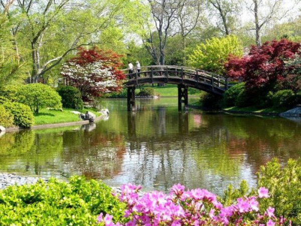 Сад Клода Моне в Японии