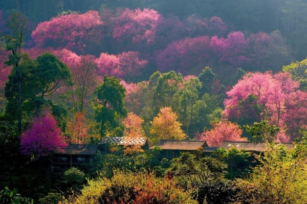 Японский пейзаж