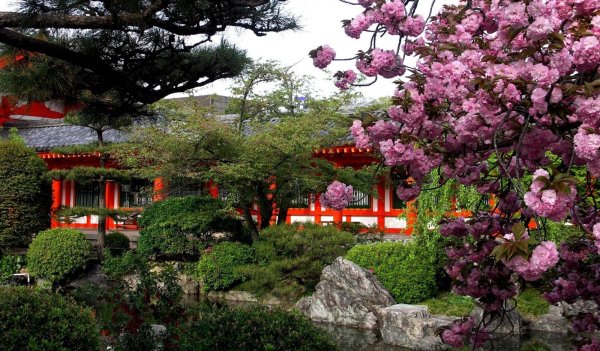 Япония дворец Сакура сад