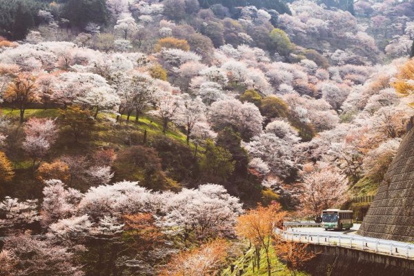 Томакомаи (Япония) природа