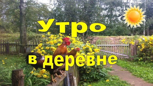 Доброе деревенское утро с надписями