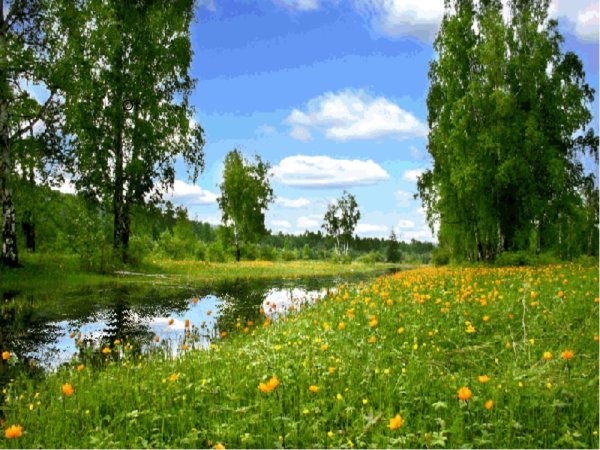 Открытки с добрым утром летние