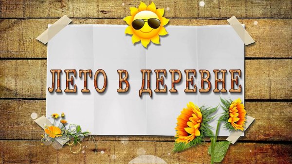 Лето июнь природа
